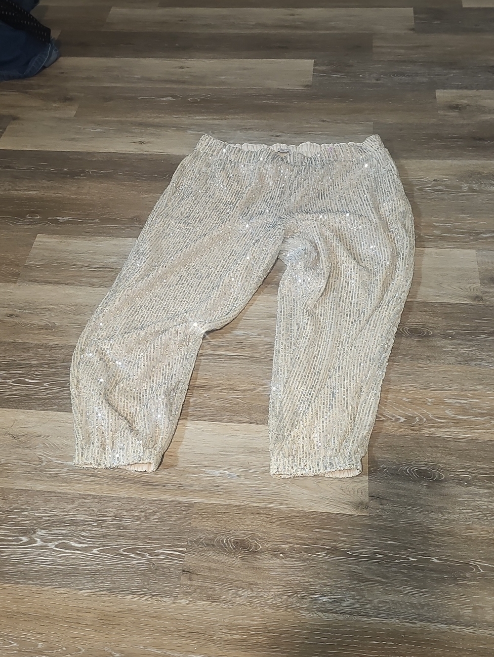 LOFT WomenSequin Jogger Pants in Cream